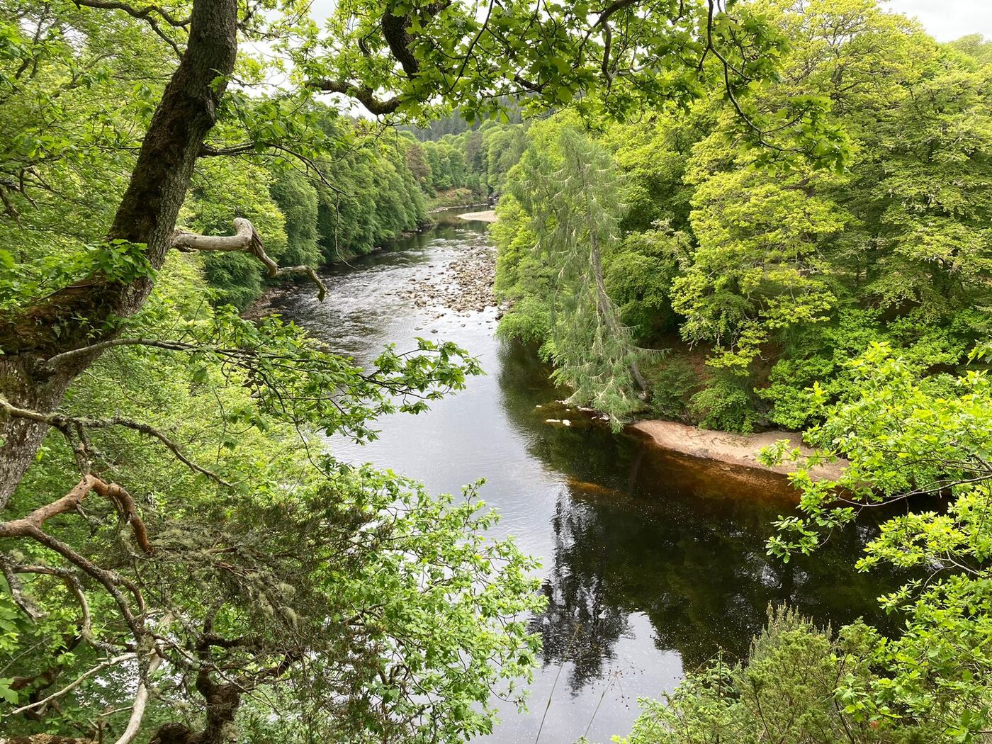 A river bend framed by mixed broadleaf woodland, oak and other native species along both banks.