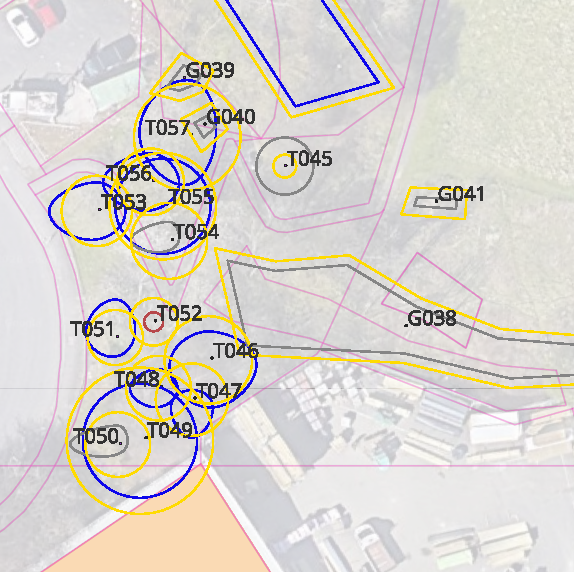An example Tree Constraints Plan: tree canopies and Root Protection Areas plotted over an aerial site plan.